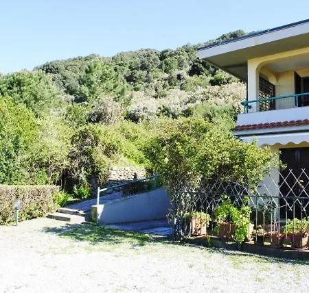 Cotoncello Elba SantʼAndrea