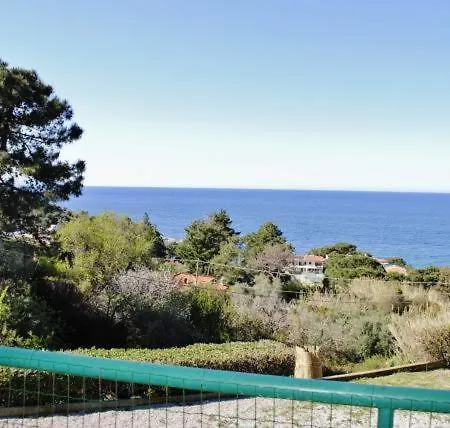 Cotoncello Elba